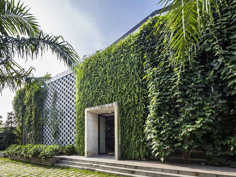 Sử dụng cây xanh tạo sự mát mẻ cho ngôi nhà